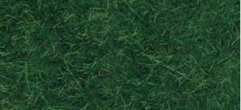 noch 07106 Herbes sauvages vert foncé